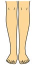 Bare foot, leg, toe, front view, illustration